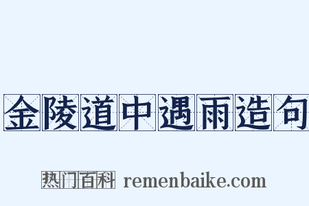 金陵道中遇雨造句是什么意思的图片